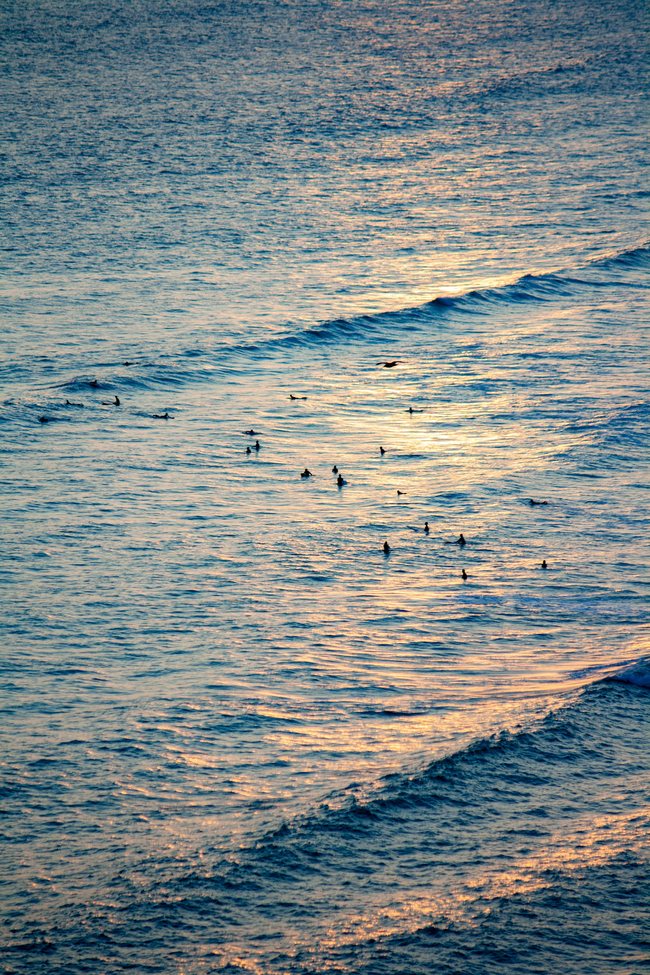 Olas y surfistas al atardecer, inspiración costera de Palmito